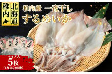 稚内産 するめいか一夜干し　大5枚セット
