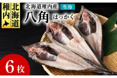 稚内産　生冷八角　6枚