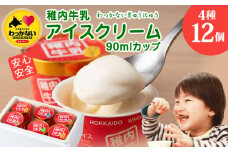 稚内牛乳 アイスクリーム 4種12個セット (バニラ、チョコ、宗谷の塩、稚内産クマザサ)