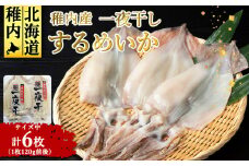 稚内産 するめいか一夜干し 中2枚入×3セット(合計6枚)