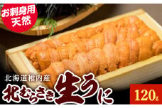＜先行予約＞『天然刺身用』北むらさきウニ 120g ウニ 刺身 海鮮