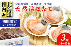 ＜先行受付＞宗谷漁協発!産地直送!活ほたて約3㎏(13～15枚入)刺身 海鮮