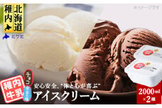 ＜業務用＞稚内牛乳アイスクリーム2000ml宗谷の塩×チョコ2個セット