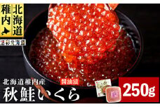 ＜ 北海道 稚内産 ＞ 秋鮭 いくら 醤油漬 250g ( イクラ丼 海鮮丼 に!)