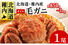 北海道産 毛ガニ 1尾 850g～1kg (ボイル)＜2025製造＞