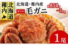 北海道産 毛ガニ 1尾 850g～1kg (ボイル)＜2025製造＞