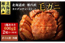 ＜ボイル済み急速冷凍＞身がパンパンに詰まった稚内産毛ガニ600g前後×2尾(合計1.1キロ以上)