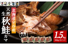 北海道産 天然生秋鮭 カマ 1.5kg (300g × 5個) 無塩蔵品
