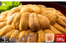 【うにの名産地稚内市】最北端の生むらさきうに(100g×1)　