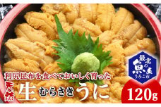 利尻昆布を食べておいしく育った「生むらさきうに」120ｇ
