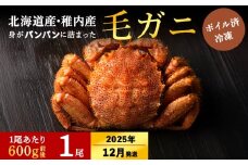 【2025年12月上旬発送】【ボイル済み急速冷凍】身がパンパンに詰まった稚内産毛ガニ600g前後×1尾（合計1.1キロ以上）