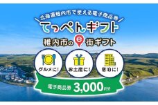  【ふるさと納税】稚内市e街ギフト 3,000円分