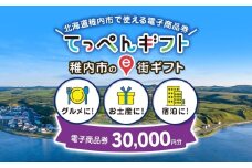  【ふるさと納税】稚内市e街ギフト 30,000円分