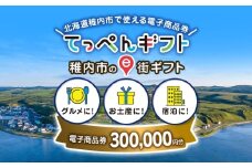  【ふるさと納税】稚内市e街ギフト 300,000円分