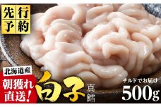 【2026年1月以降発送】【先行予約】旬の時期にチルドでお届け!北海道産白子(真鱈)500g 真だち たち タチ 真ダチ