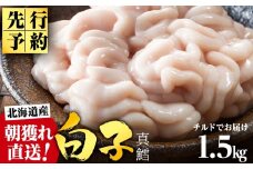 【2026年1月以降発送】【先行予約】旬の時期にチルドでお届け!北海道産白子(真鱈) 1.5kg 真だち たち タチ 真ダチ