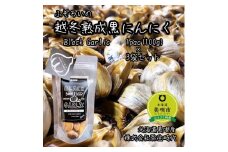 【株式会社弥生時代】ふぞろいの越冬熟成黒にんにく100g×3袋【Mサイズ片】