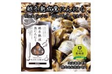 【株式会社弥生時代】越冬熟成黒にんにく100g×3袋【Lサイズ片】