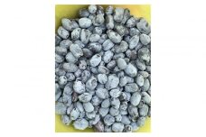 アンテナショップPiPaセレクト 美唄産のハスカップ1.0kg（500g×2）