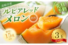【2025年発送】【先行予約】【数量限定】美唄市産ルピアレッドメロン３玉（赤肉）