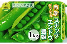 【先行予約】【バランス農法】農薬や肥料を使わずに育てた肉厚ジューシーなスナップエンドウ豊姫　1kg（2024年6月中旬より発送予定）