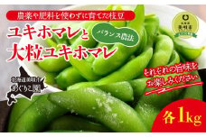 【定期便先行予約】【バランス農法】農薬や肥料を使わずに育てた枝豆ユキホマレと大粒ユキホマレ各1kg（2025年8月中旬発送予定）
