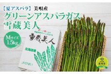 【先行予約】【夏アスパラ】美唄産グリーンアスパラガス雪蔵美人 Mサイズ 1.5kg （2023年7月中旬発送予定）