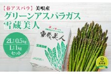 【春アスパラ】美唄産グリーンアスパラガス雪蔵美人 2Lサイズ0.5kg＋Lサイズ1kgセット（2025年4月中旬より順次発送予定）