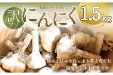 令和6年産にんにく1.5kg【福地ホワイト六片】【訳アリ】数量限定