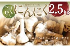 令和6年産にんにく2.5kg【福地ホワイト六片】【訳アリ】数量限定
