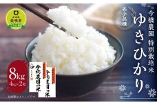 【希少品種】今橋農園の「ゆきひかり」４kg×２袋　精米　特別栽培米　令和５年産
