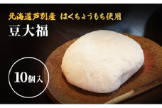 【芦別産はくちょうもち使用】大福 10個セット 和菓子 餅 もち 芦別観光協会 [№5342-0003]