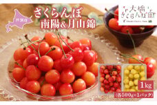 【先行受付】 さくらんぼ 南陽 & 月山錦 1kg(各500g×1パック) 北海道 芦別市 大橋さくらんぼ園[№5342-0052]