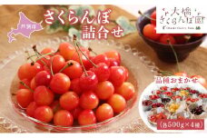 【先行受付】 さくらんぼ 詰合せ 500g×4種 品種お任せ 北海道 芦別市 大橋さくらんぼ園[№5342-0053]