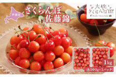 【先行受付】 さくらんぼ 佐藤錦 1kg(500g×2パック) 北海道 芦別市 大橋さくらんぼ園[№5342-0055]