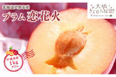 【先行受付】 プラム 恋花火 1kg 北海道 芦別市 大橋さくらんぼ園[№5342-0056]