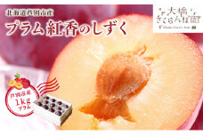 【先行受付】 プラム 紅香のしずく 1kg 北海道 芦別市 大橋さくらんぼ園[№5342-0057]