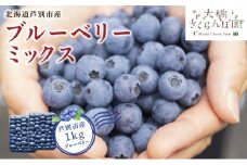 【先行受付】 ブルーベリー ミックス 1kg 北海道 芦別市 大橋さくらんぼ園[№5342-0059]