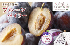 【先行受付】 プルーン ベイラー 1kg 北海道 芦別市 大橋さくらんぼ園[№5342-0060]
