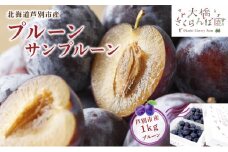 【先行受付】 プルーン サンプルーン 1kg 北海道 芦別市 大橋さくらんぼ園[№5342-0062]