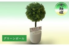 光触媒・造花 グリーンボール 約25cm 観葉植物 植物 北海道 芦別市 日本インソール工業 [№5342-0134]