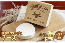 カマンベールタイプ 横市チーズ 170g×2個 北海道 芦別市 横市フロマージュ舎 [№5342-0189]