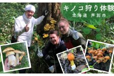 季節のキノコ狩り 体験チケット 1枚 (3名まで参加可能) 北海道 芦別市 ioru [№5342-0229]