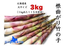 たけのこ 6月発送 根曲がり竹の子 3kg 1kgあたり15本程度 山菜直売店中野渡 北海道産 竹の子 タケノコ 野菜 山菜 新鮮 焼いて 味噌汁 春の恵み 調理 冷蔵配送 北海道 芦別市 [№5342-0244]