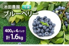 【2025年夏配送】生 ブルーベリー 計1.6kg(400g×4パック) 池田農園 北海道 小分け 新鮮 フルーツ 果物 旬 旬のフルーツ 旬の果物 お取り寄せ 産地直送 朝ごはん デザート おやつ ヨーグルト 冷蔵 芦別市 [№5342-0245]