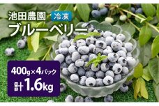 北海道 芦別市産 冷凍 ブルーベリー 計1.6kg (400g×4パック) 池田農園 [№5342-0246]