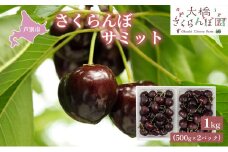 【先行受付】さくらんぼ サミット1kg（500g×2パック）高級 サクランボ 北海道 芦別産 黒 希少 4L 大 [№5342-0282]