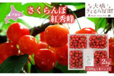【先行受付】さくらんぼ 赤 紅秀峰2kg（500g×4パック）大橋 サクランボ チェリー 人気 べにしゅうほう L 赤 [№5342-0286]