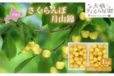 【先行受付】さくらんぼ 月山錦1kg（500g×2パック）最高級 サクランボ 贈り物 ギフト 黄 希少 3L 大 [№5342-0283]