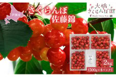 【先行受付】さくらんぼ 赤 佐藤錦2kg（500g×4パック）大橋 サクランボ チェリー 人気 さとうにしき L 赤 [№5342-0287]